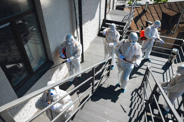 Best Mold Remediation for Vacation Homes  in Cedar Mill, OR